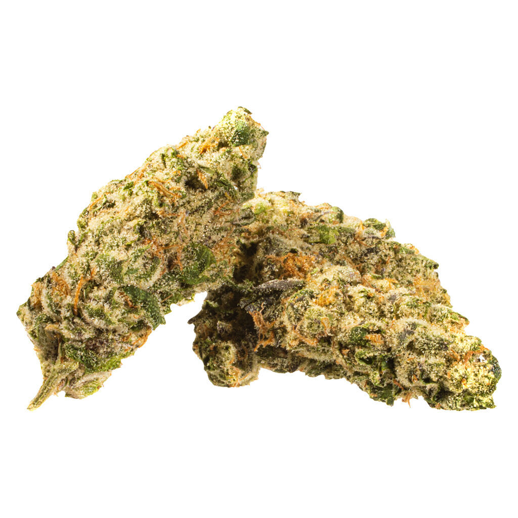Plant Craft-Tuna Breath