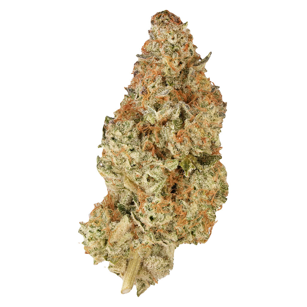 Bc Organic Pink Drip Lto