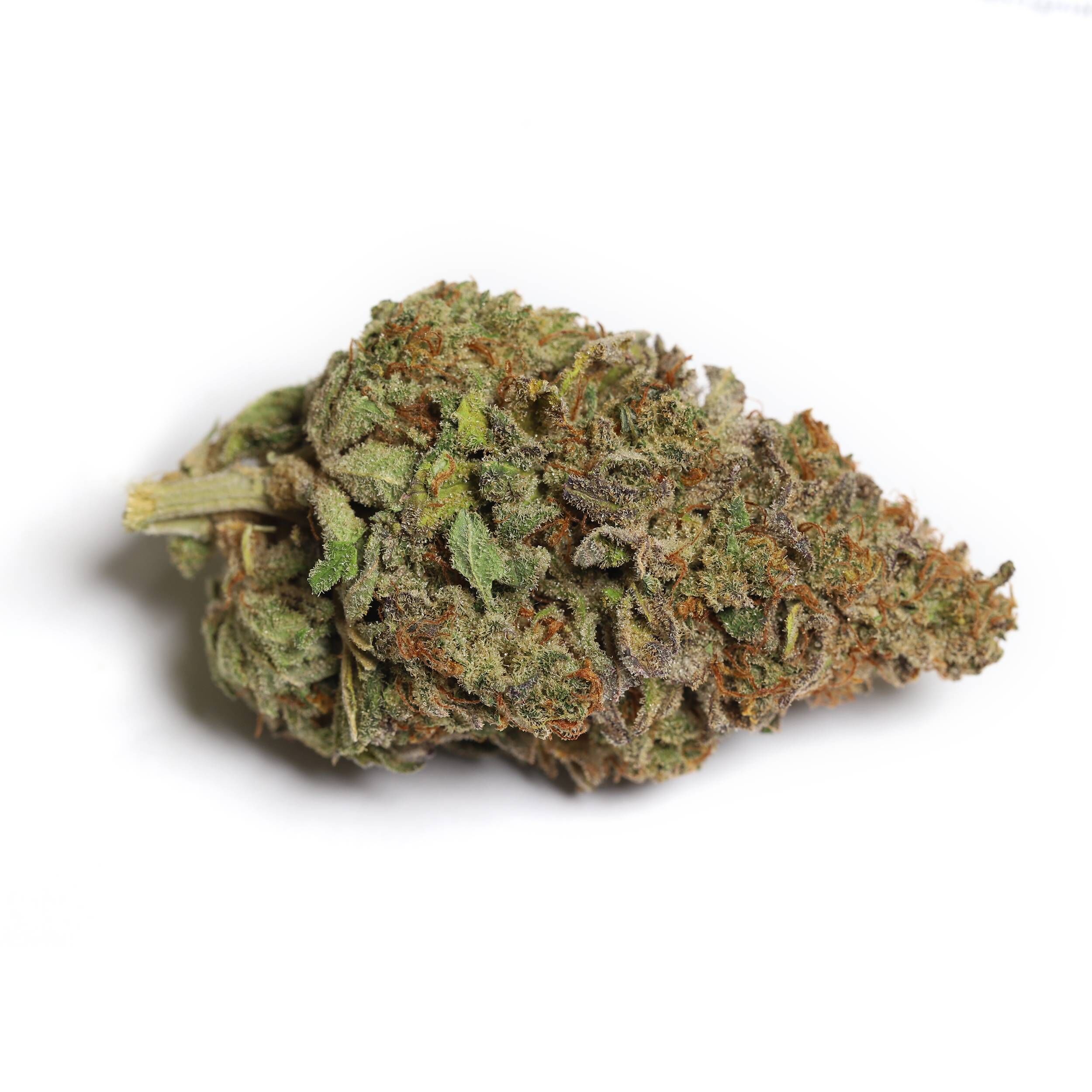 Cali-O 2