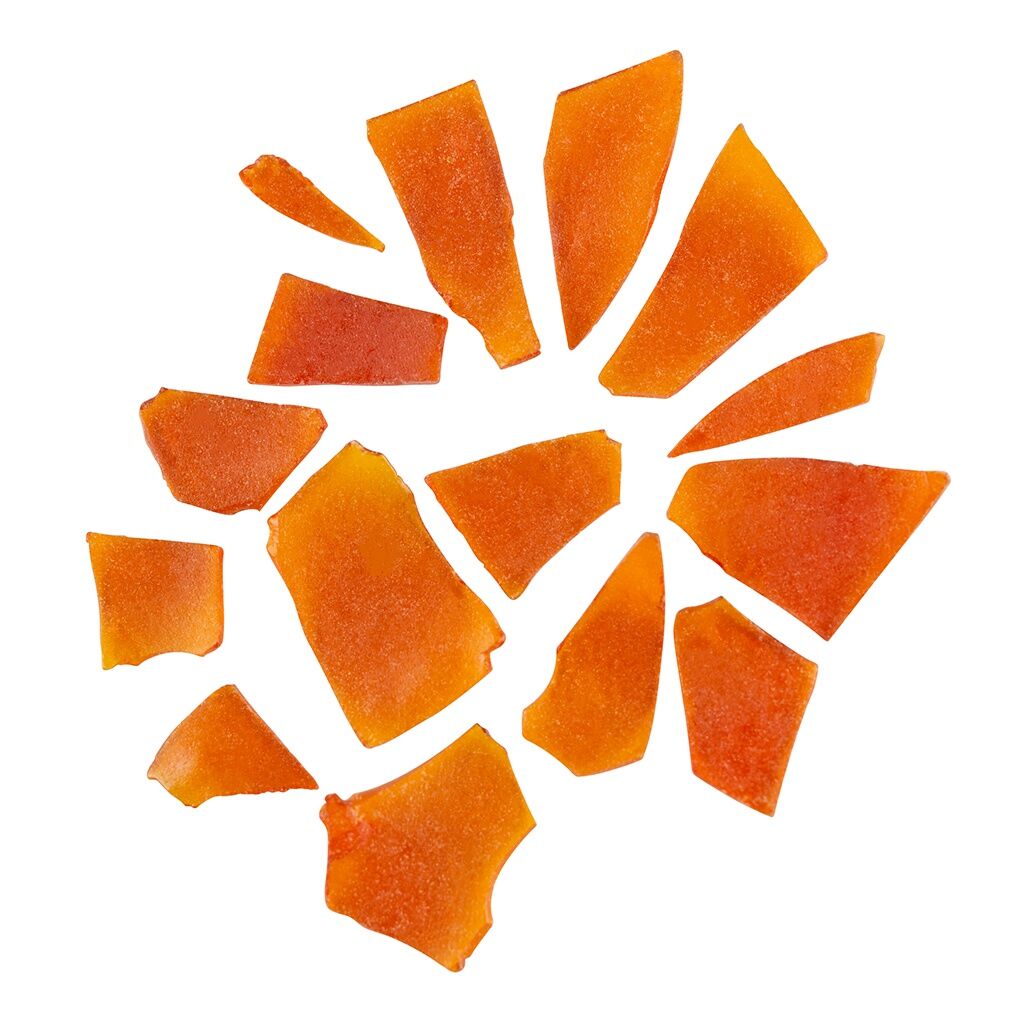 Fireside X Shatter - Wappa 2