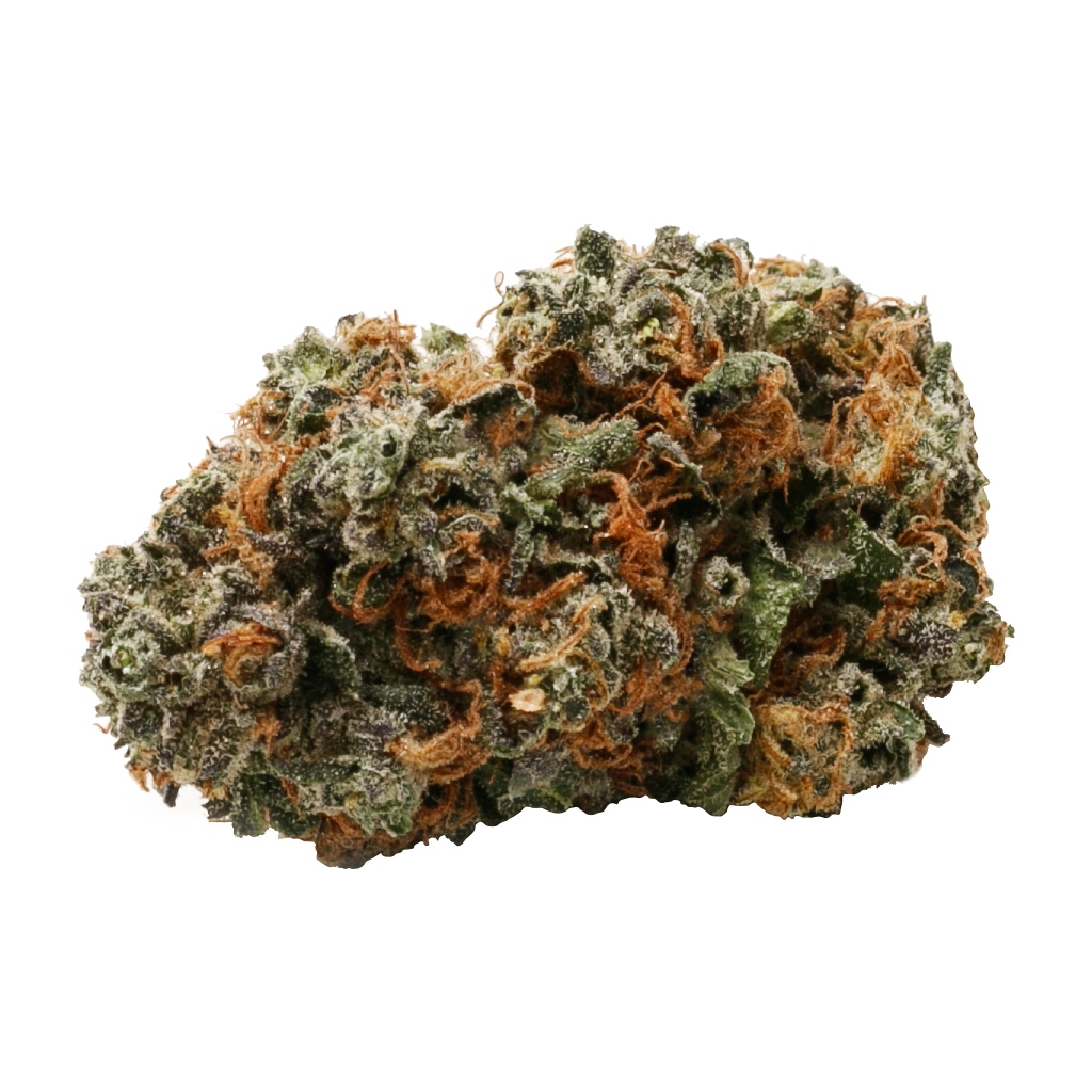 White Rhino 2