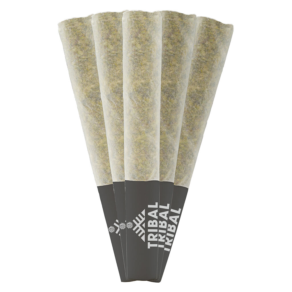 Neon Sunshine Pre-Rolls 2