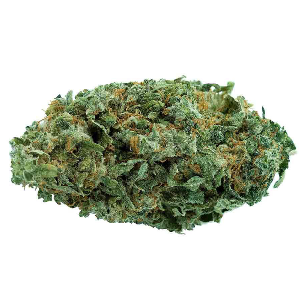 Gelato 2