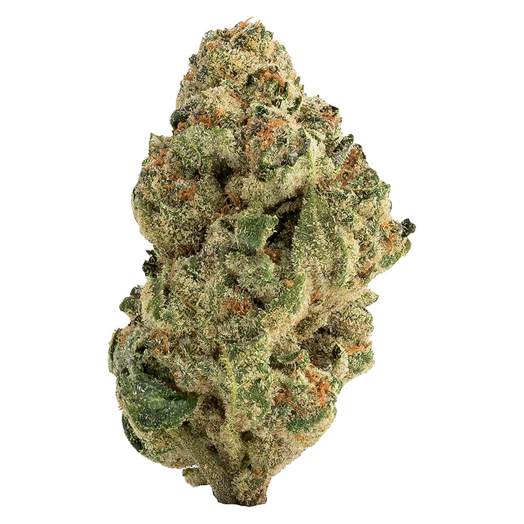 The loud plug- venom Og 28 g