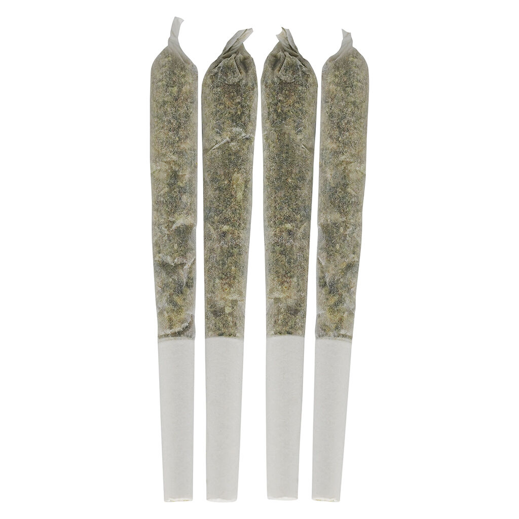 Tropical Pocket Puffs Pre-Rolls