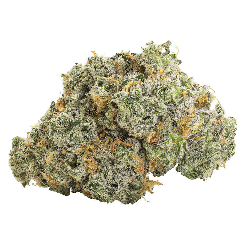 Bbob Blueberry Dream Dried Flower