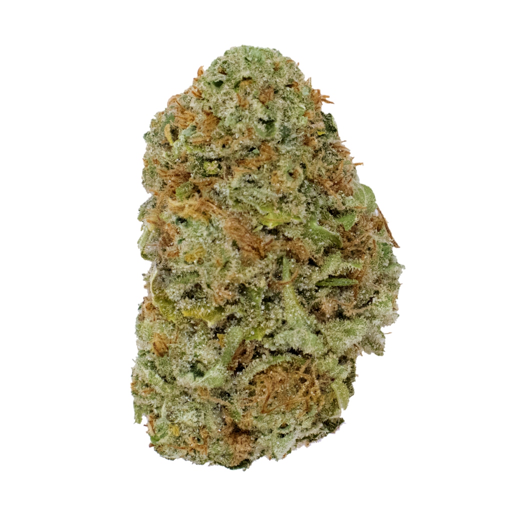 Papaya