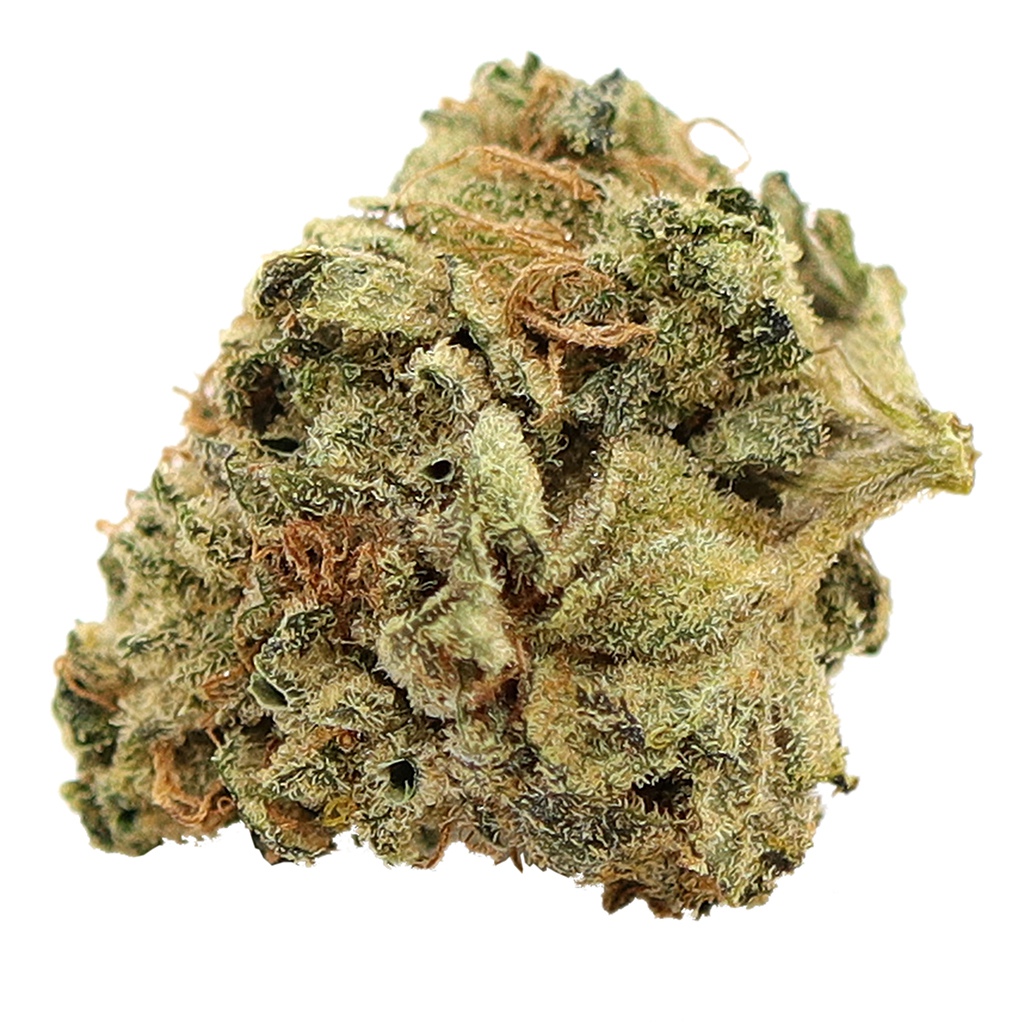 Coastal Kush