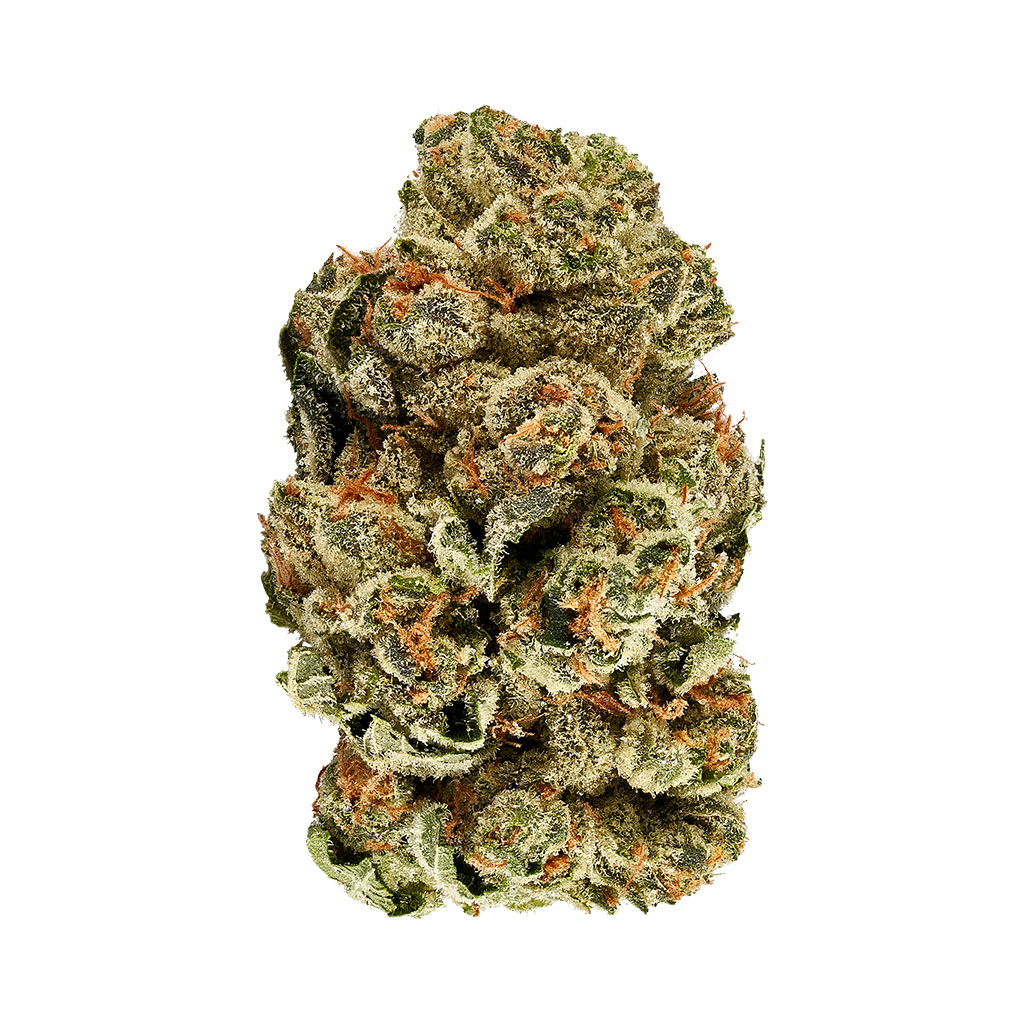 Kush Cookies 2