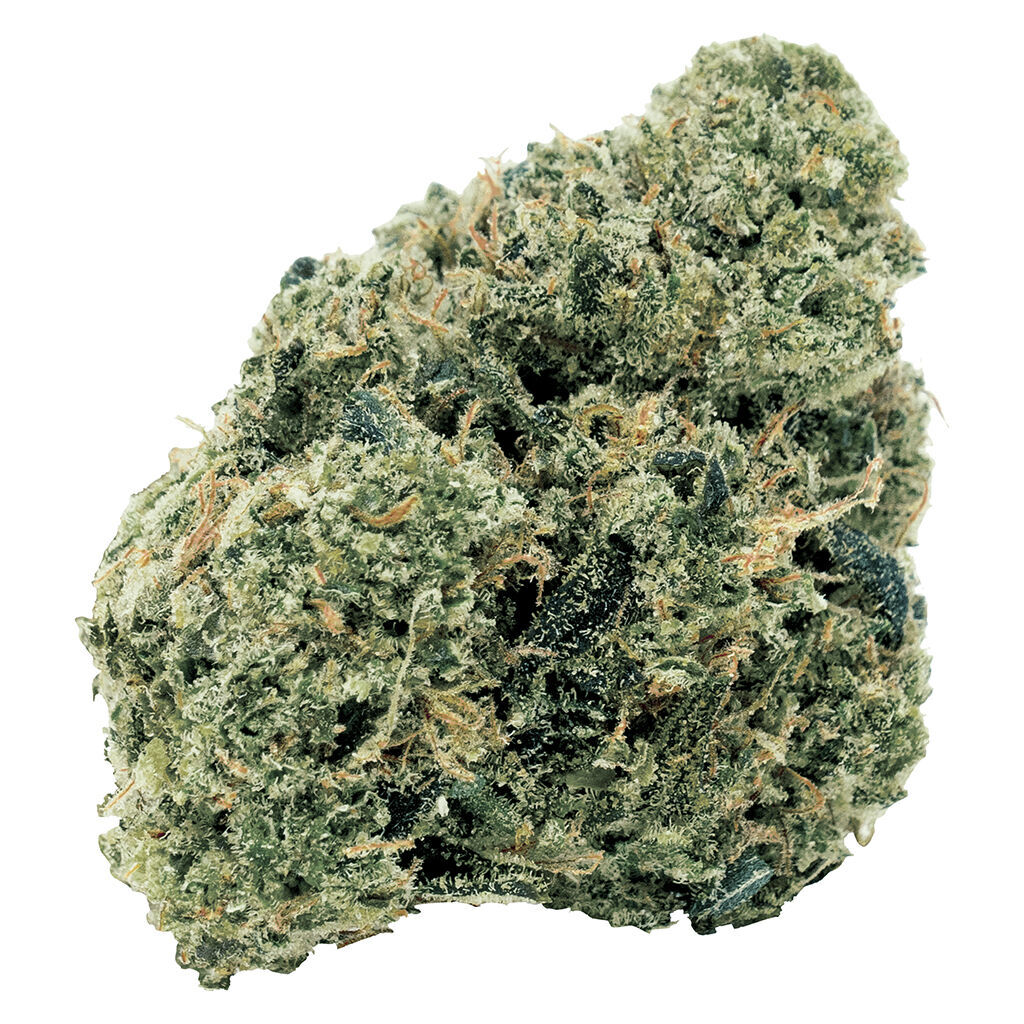 Northern Og Kush
