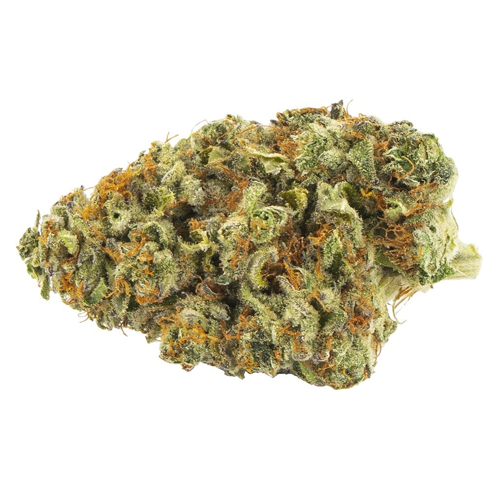 Headband 2