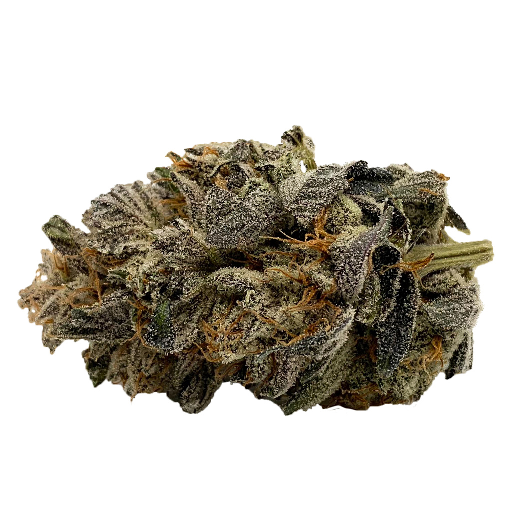 Gelato 2