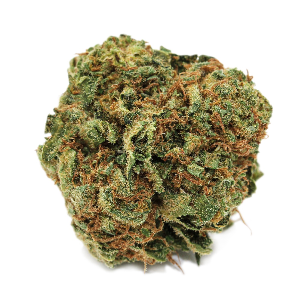Blueberry 2