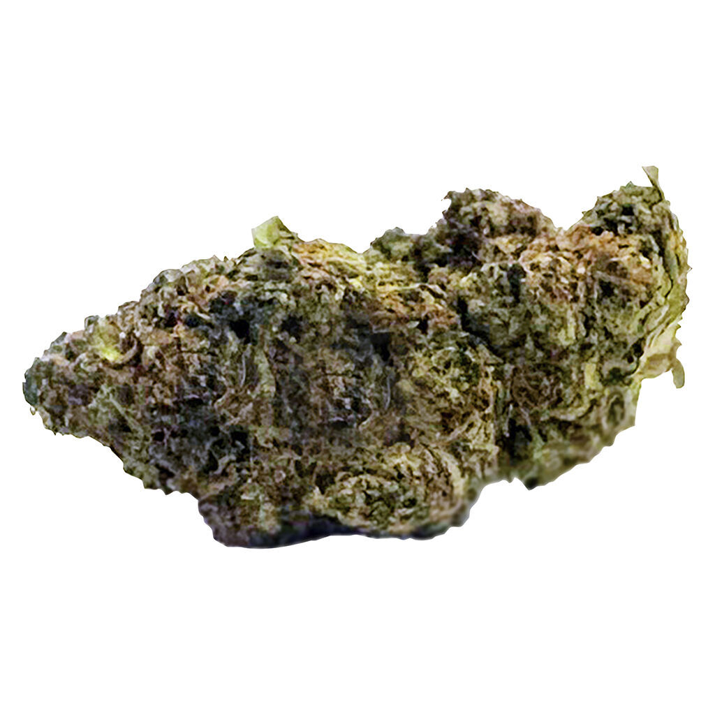 East Coast Dank'Z