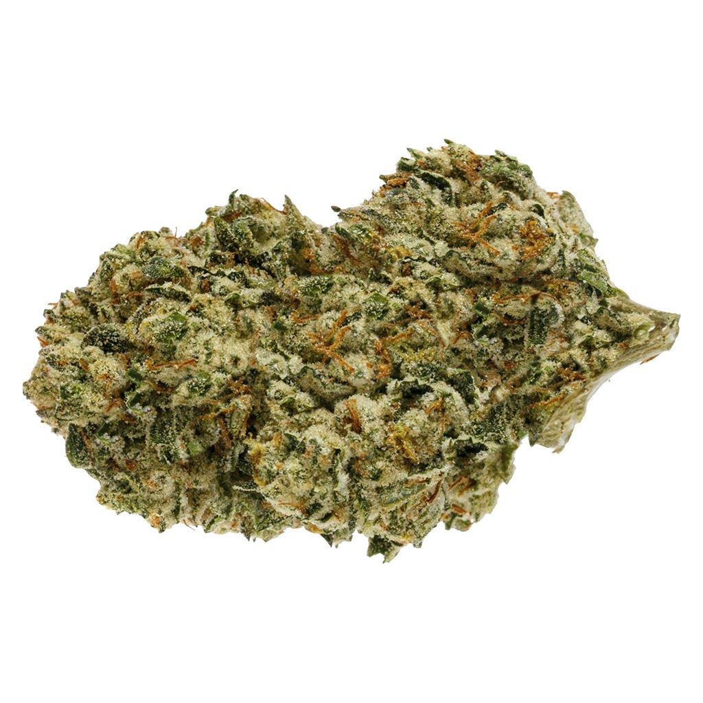 Backcross Mints