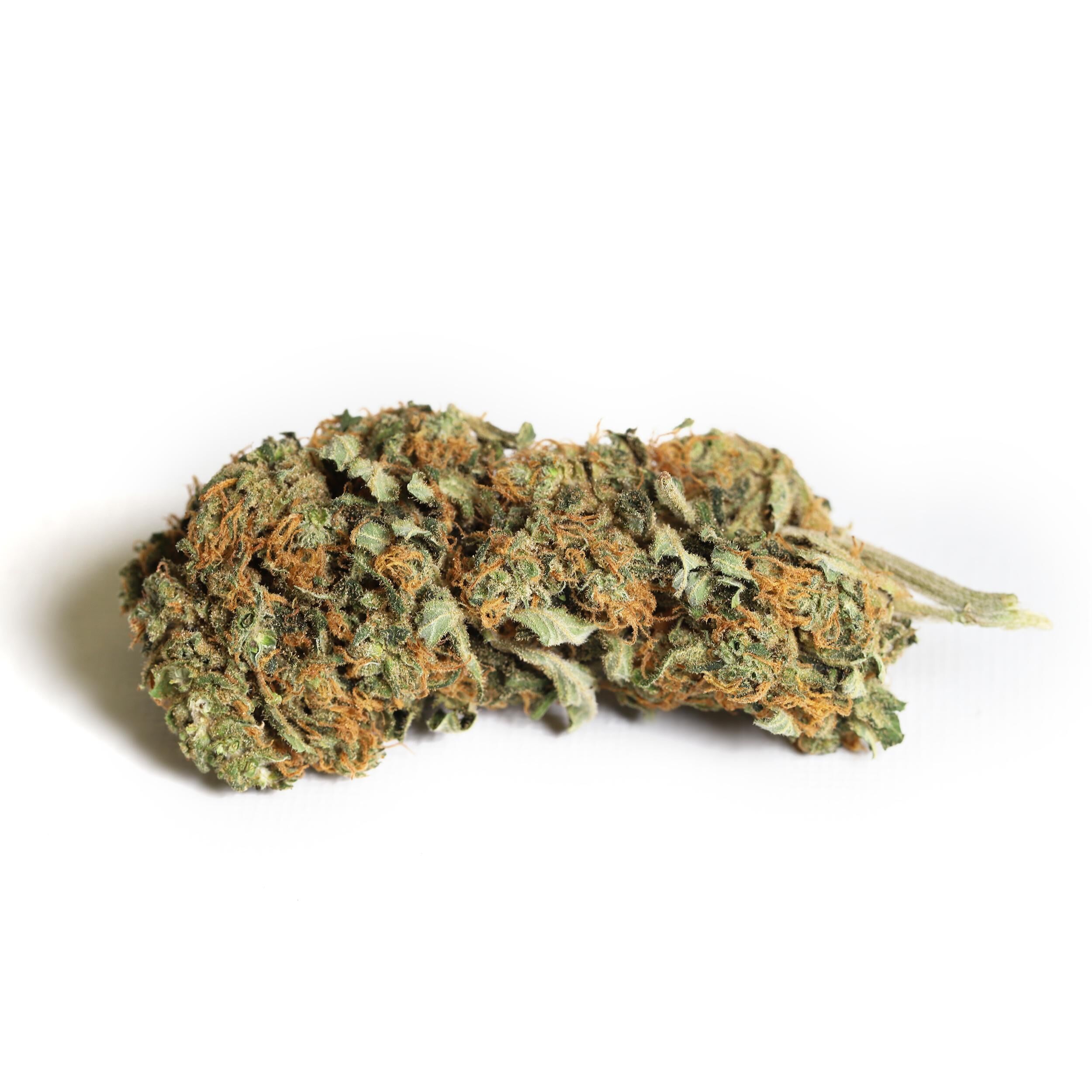 Mango Haze 3