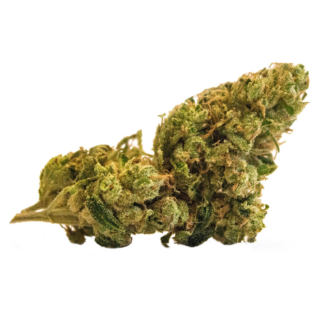 Bc God Bud 2