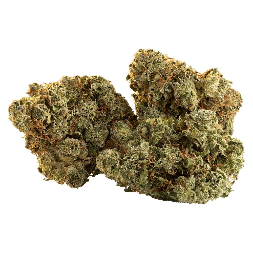 Spark Buds 2