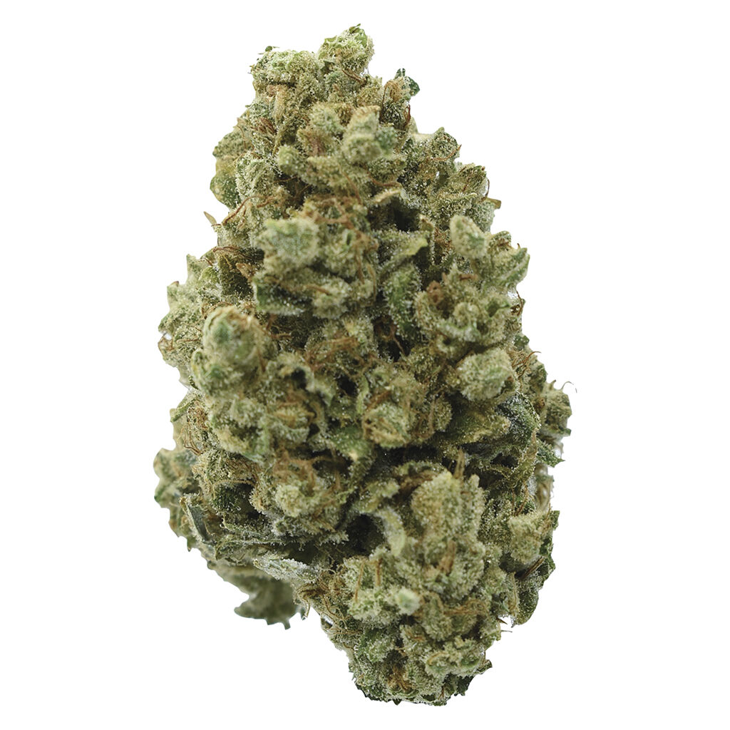 Pedro'S Sweet Sativa 3