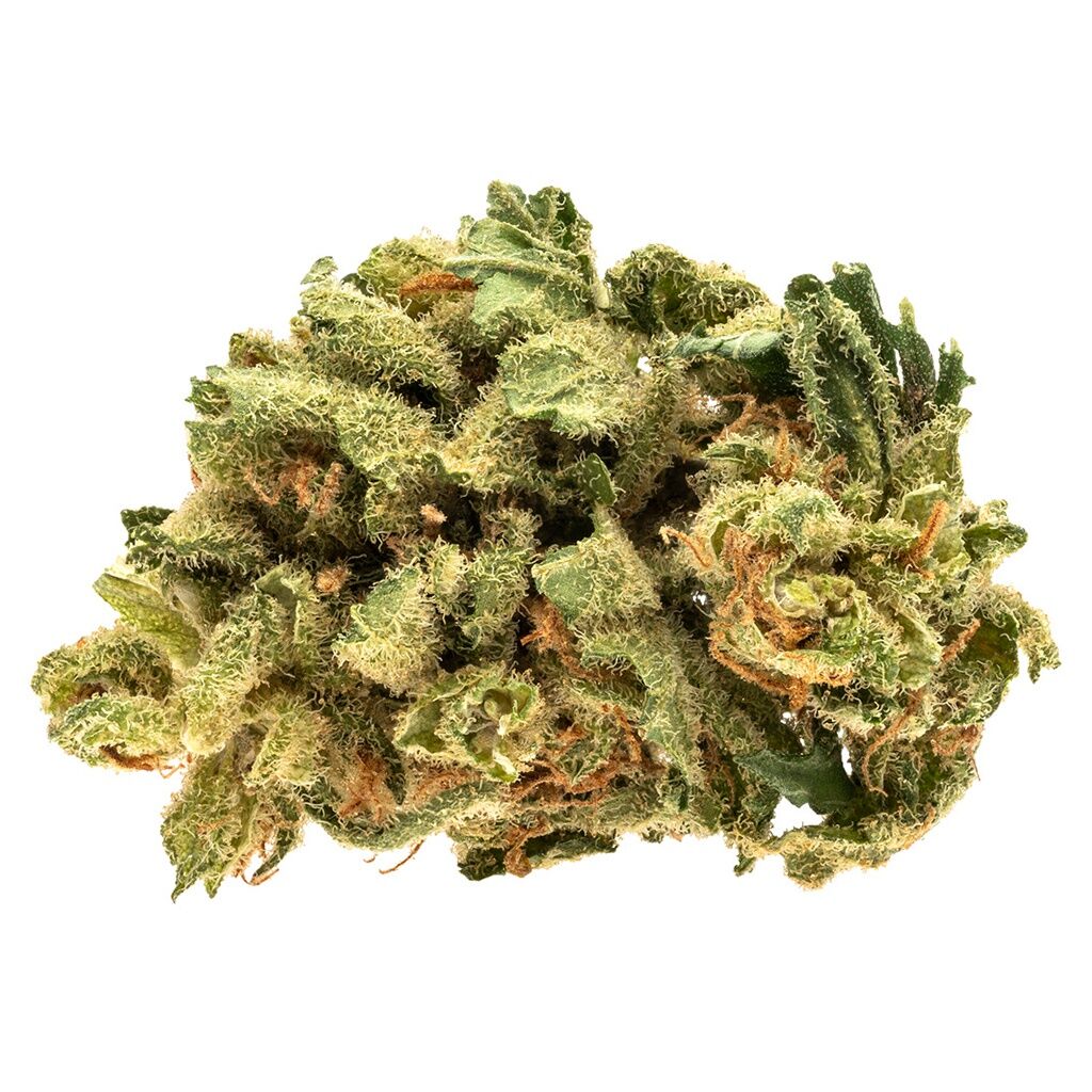 Starwalker Kush 2