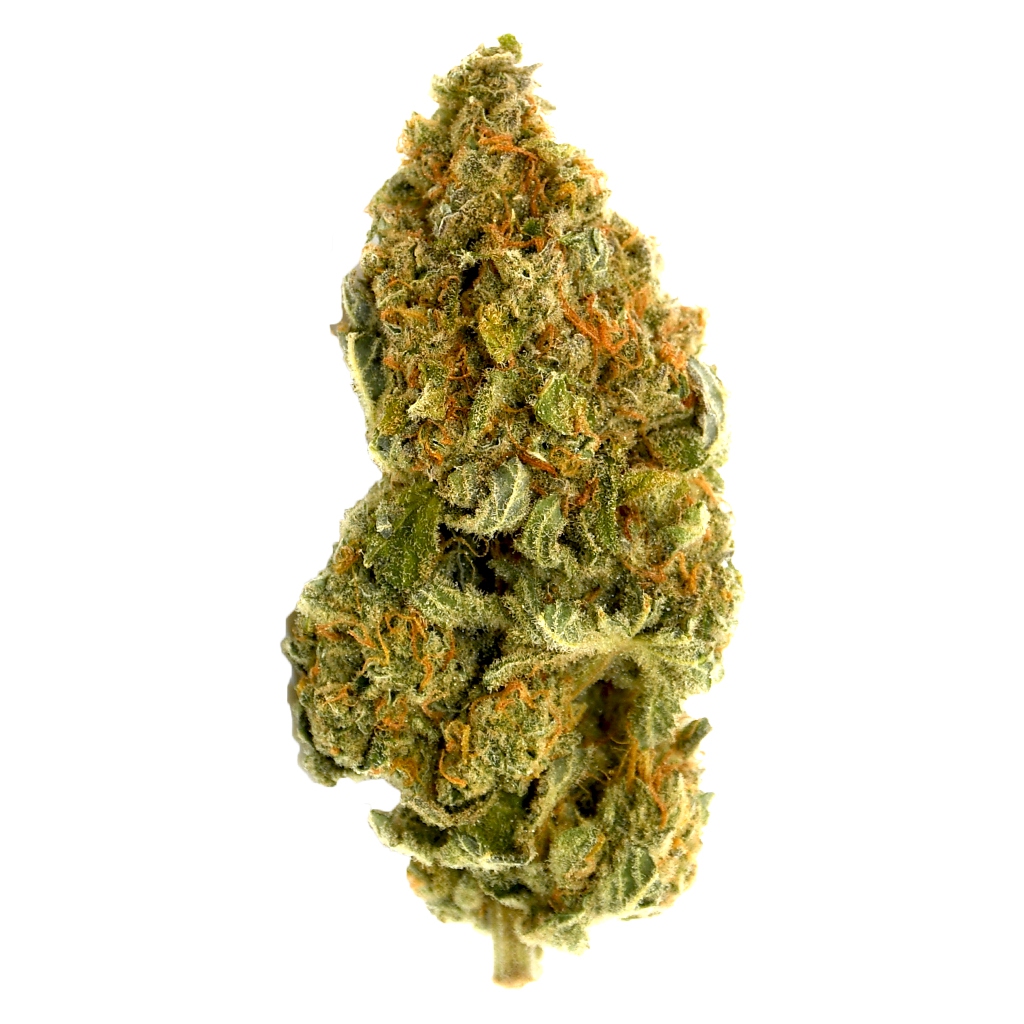 Blue Dream 2