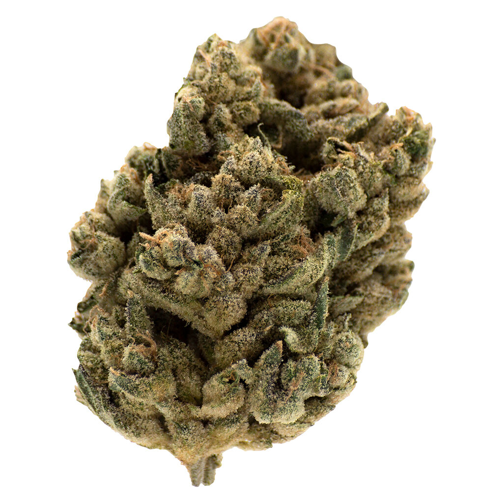 MTL Cannabis-Jungl' Cake