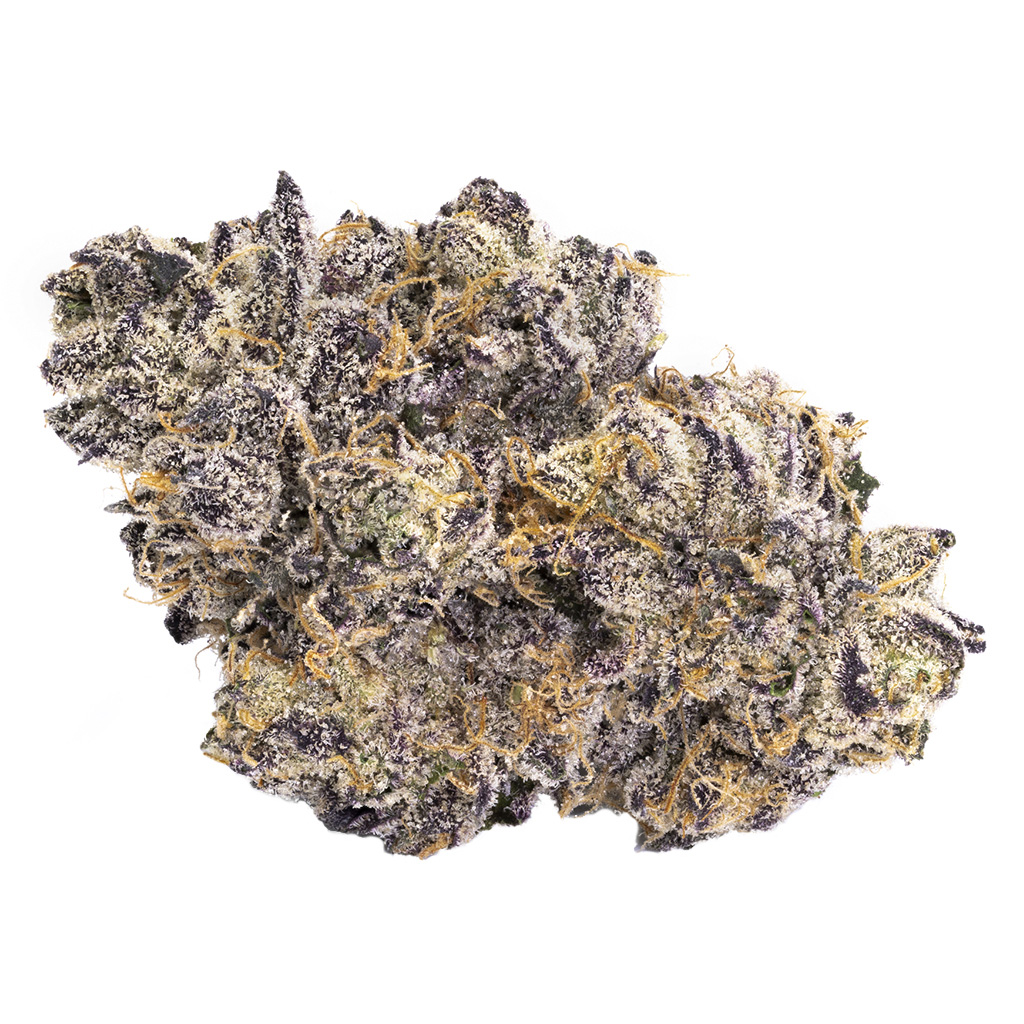 Bacio Gelato