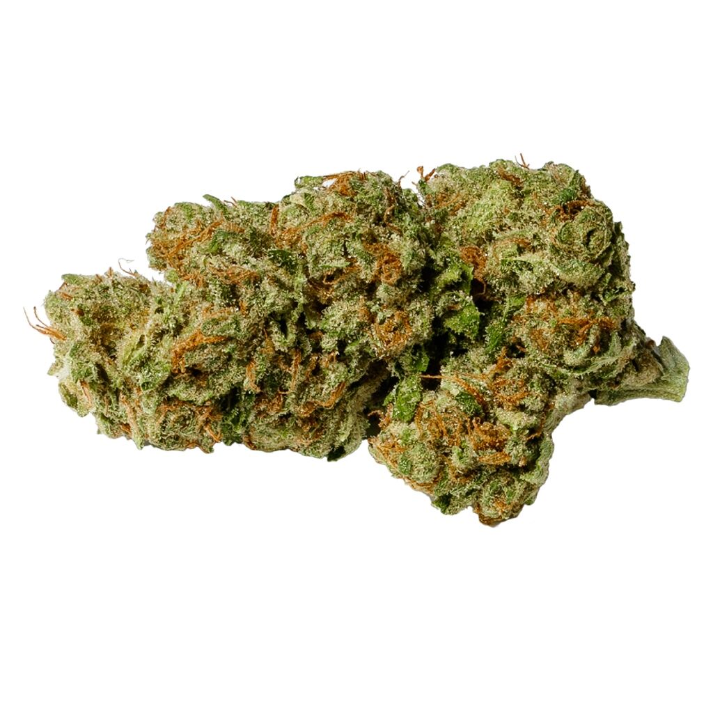 Sativa