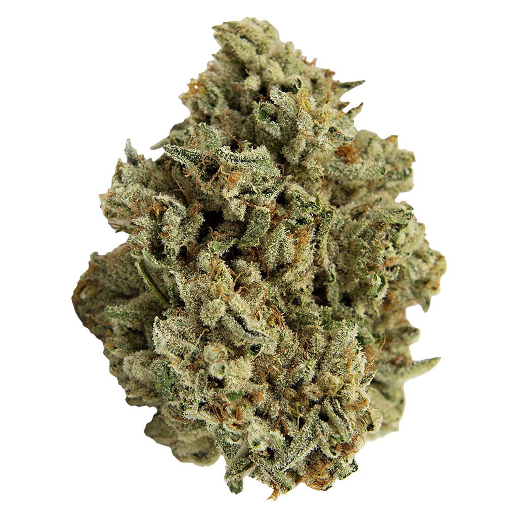 Mango Haze 3