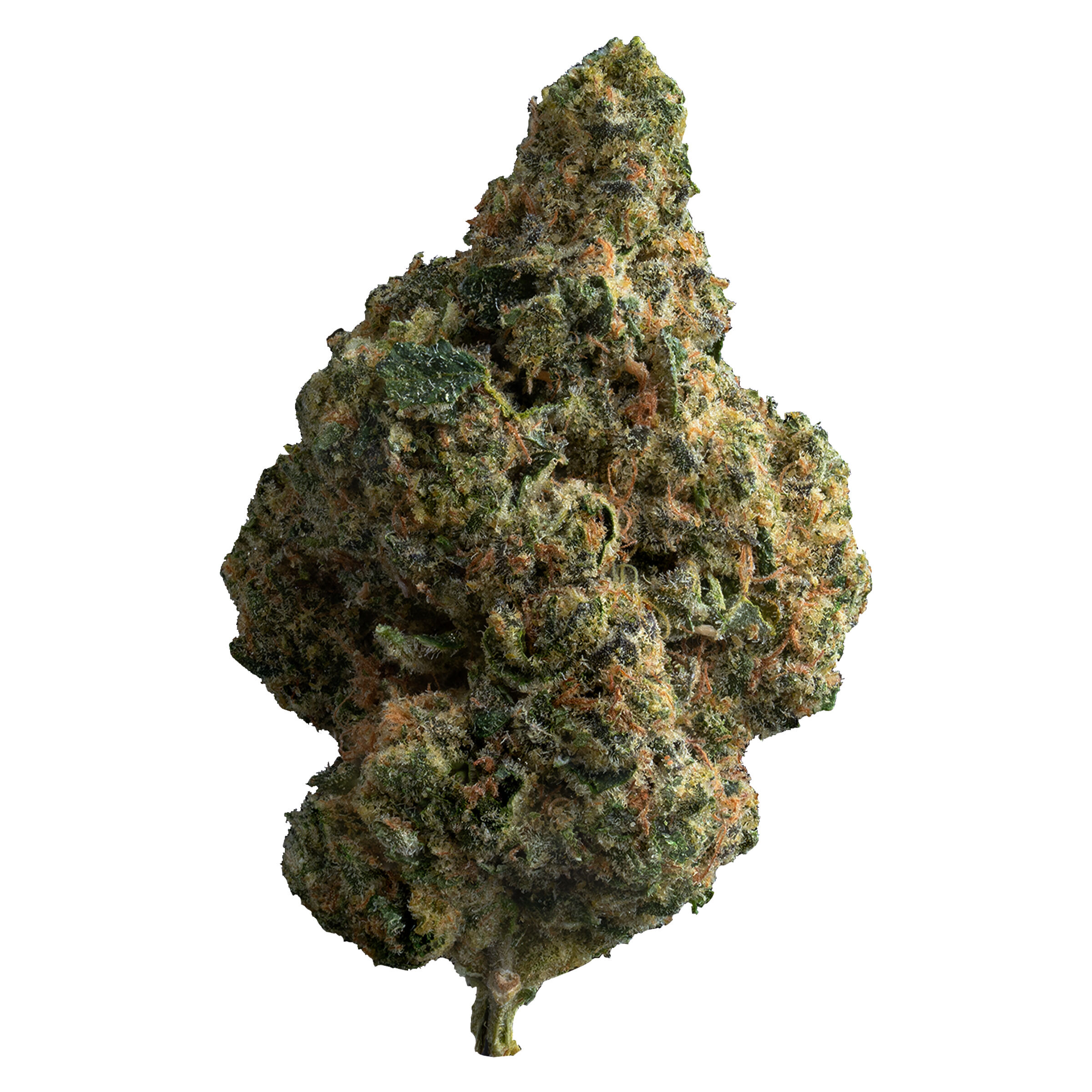The Loud Plug- exotic gas 28g