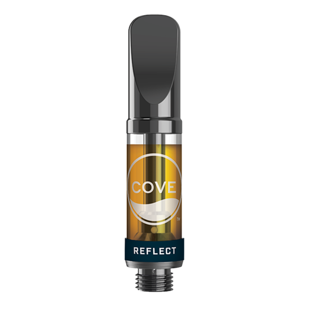 Reflect Ss Cartridge 2