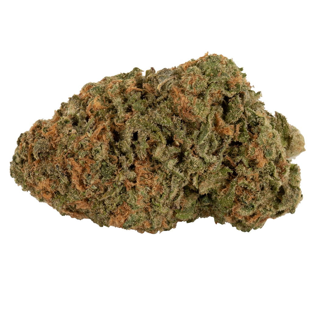 Dark Helmet Ge Dried Flower
