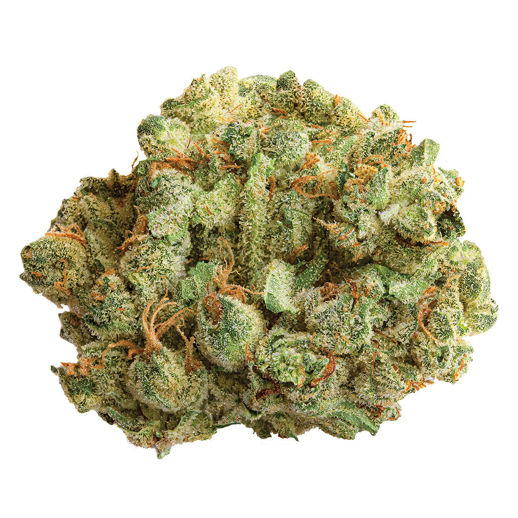 Cocoa Bomba
