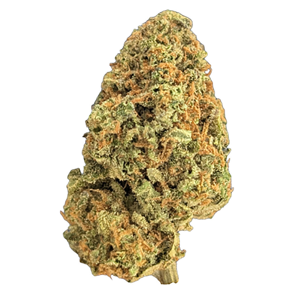 Bc Organic Plumz Lto