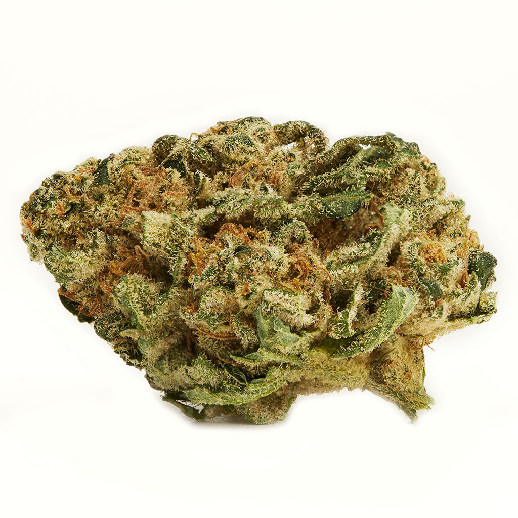 Marley Green 2