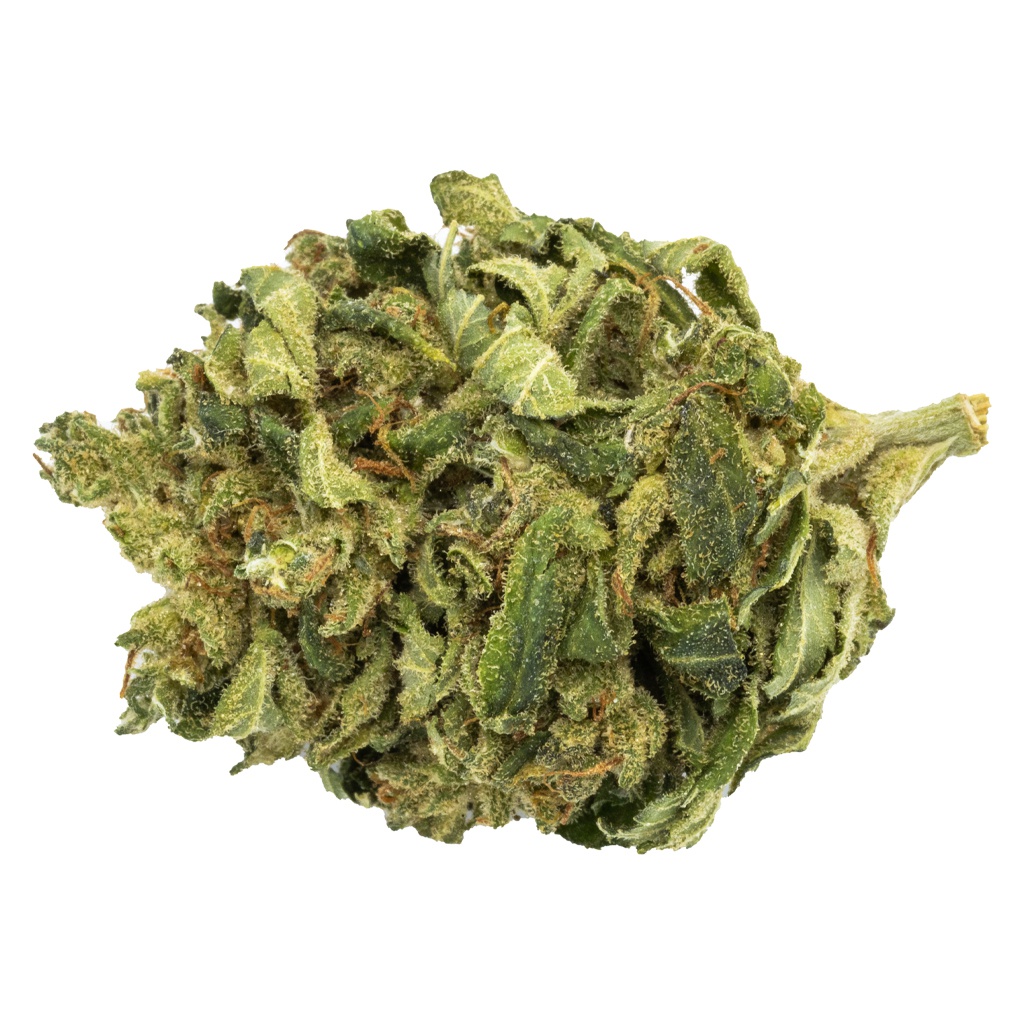 Gold Island Sweet Skunk 2
