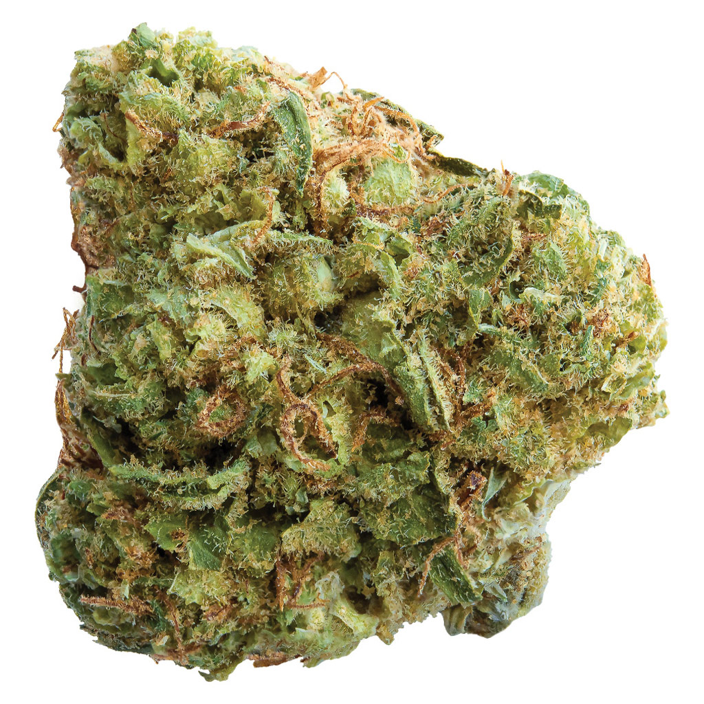 Pineapple Paradise