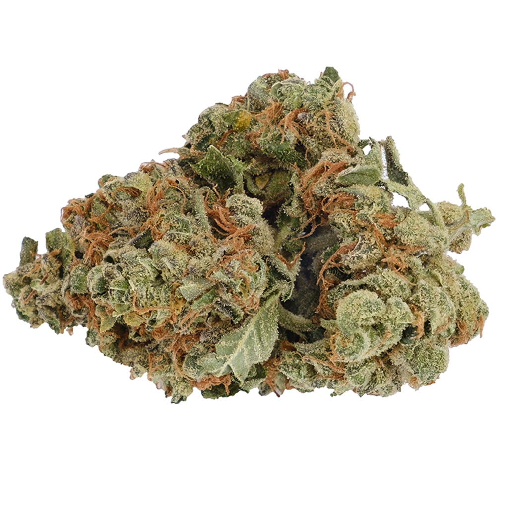 Pine Kush