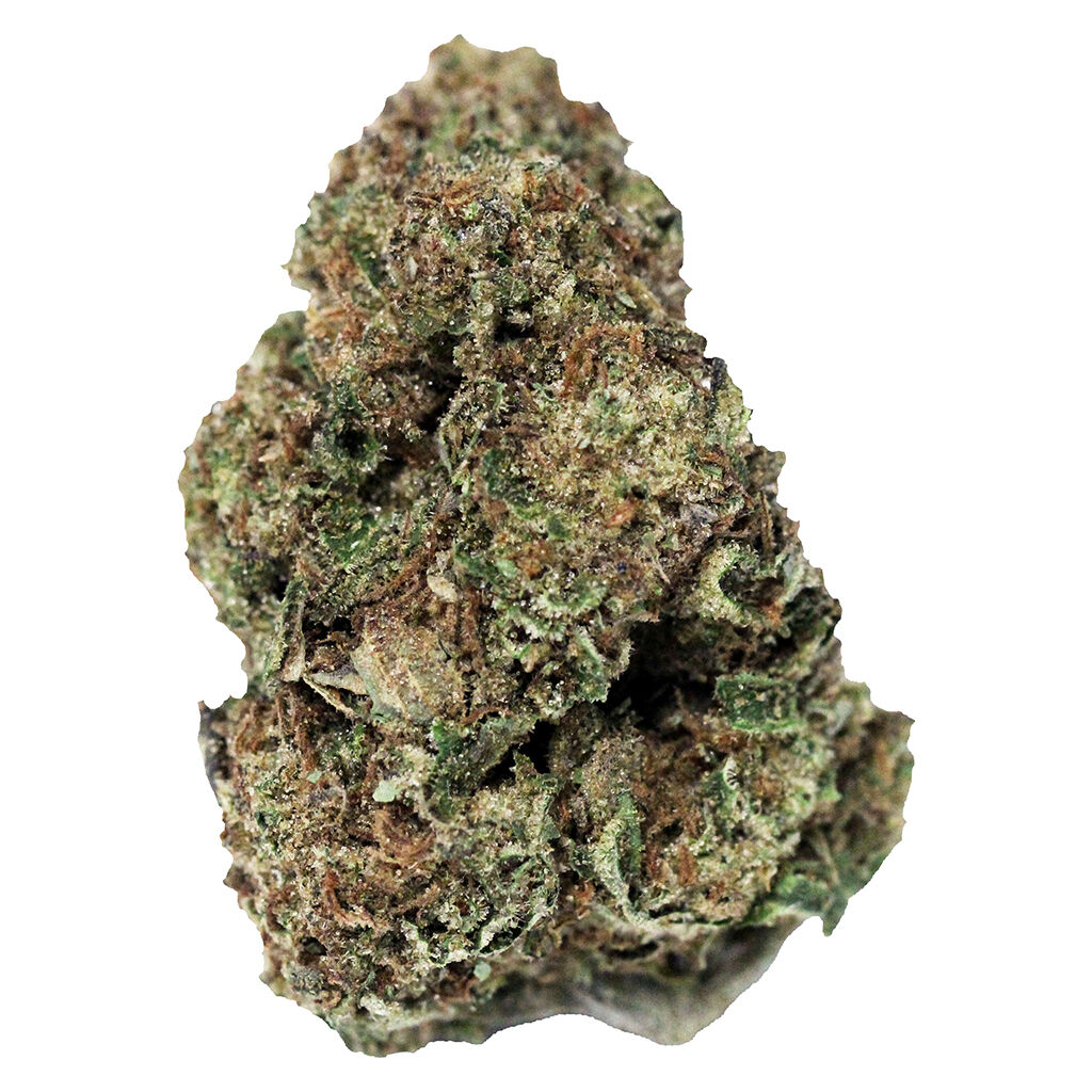 Northern Lights