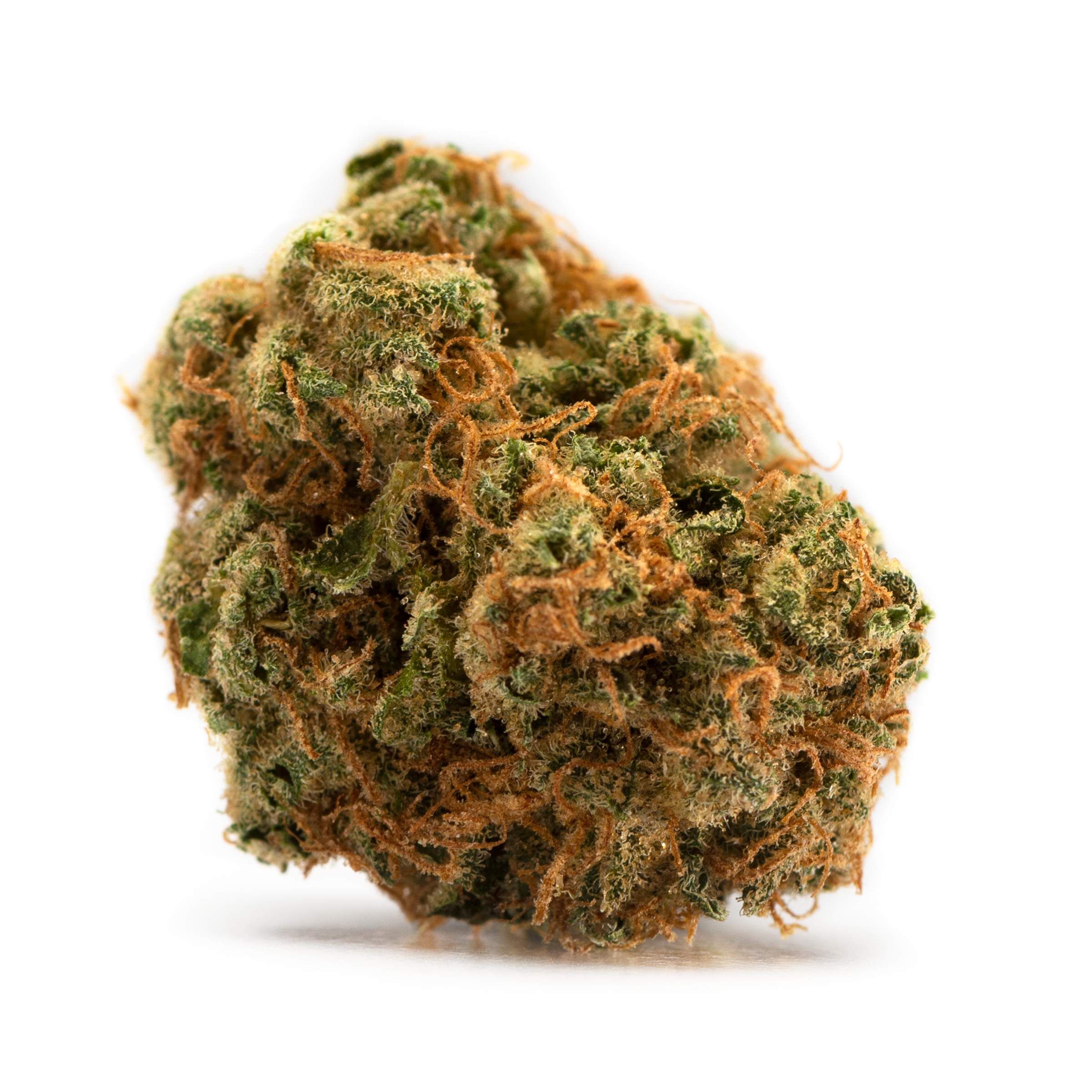 Bakerstreet(Hindu Kush) 4