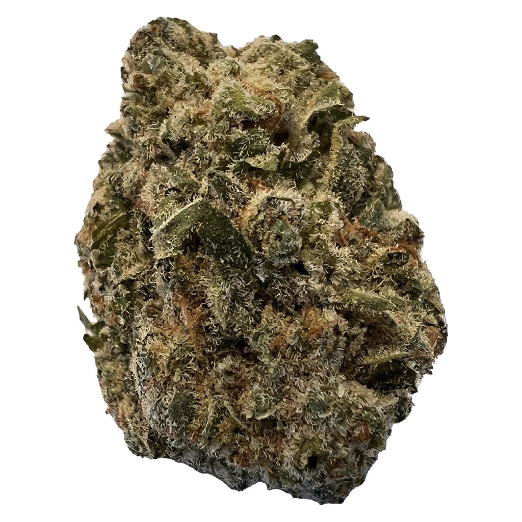 Bc Purple Kush