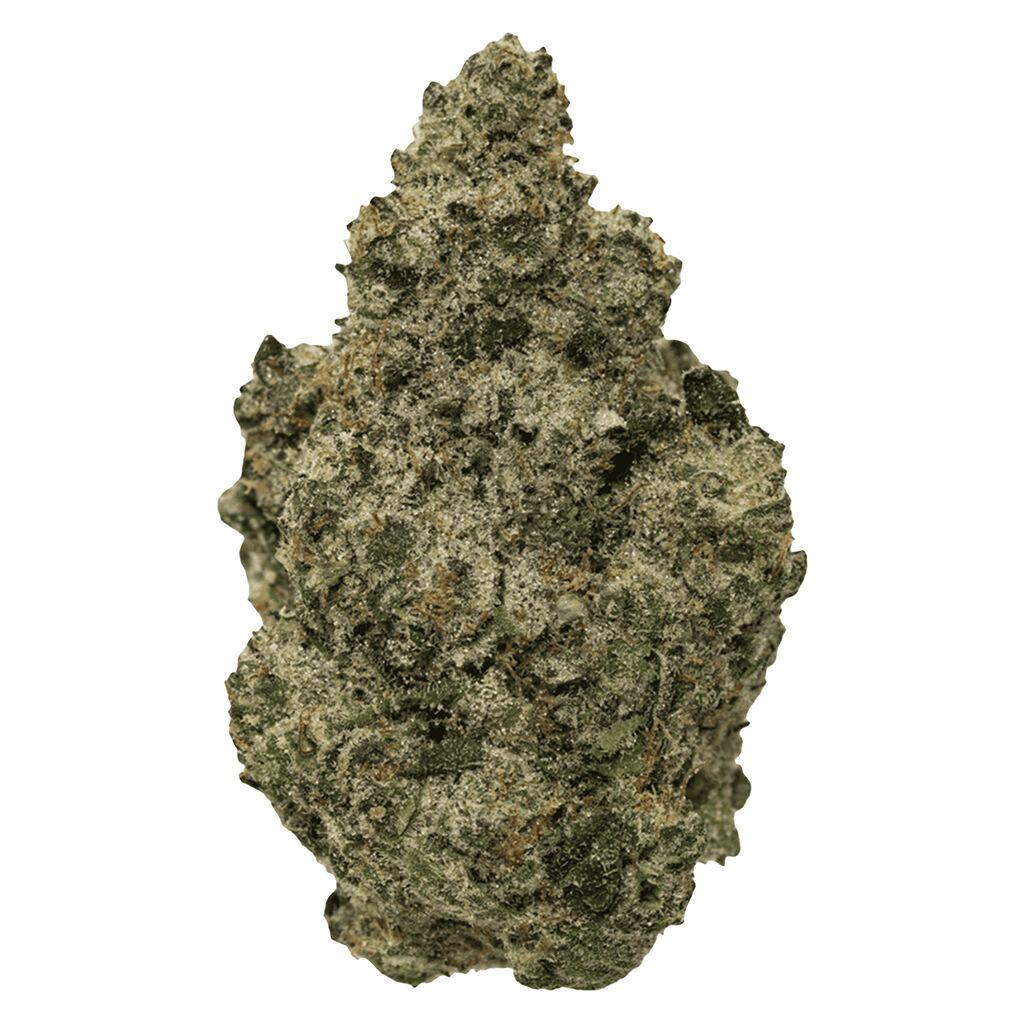 Bc Organic Black Zoap Lto