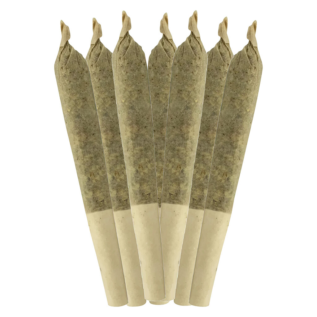 Dia De Los Muertos Pre-Rolls