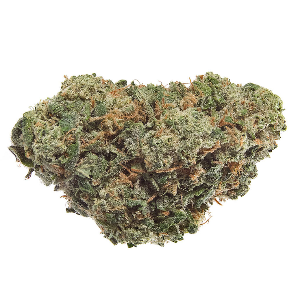 Bc Organic Sfv Og Kush 2