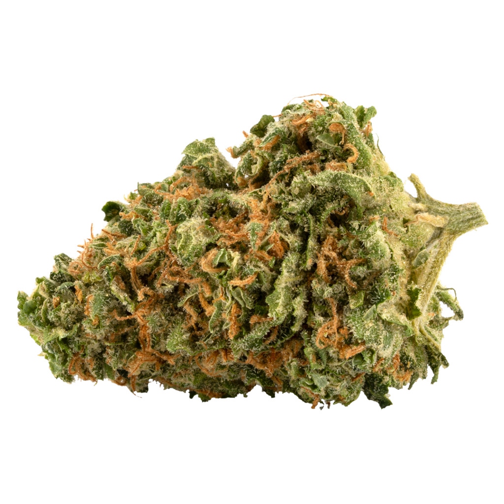 Platinum Cookies 2