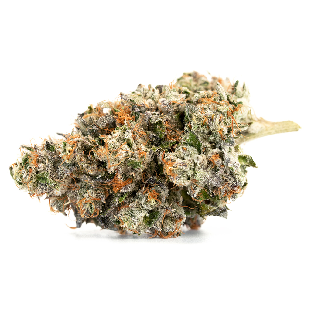 Nitro Cookies 2