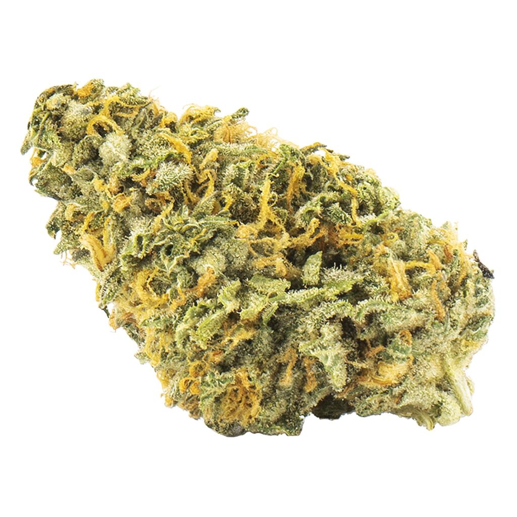 Nuken