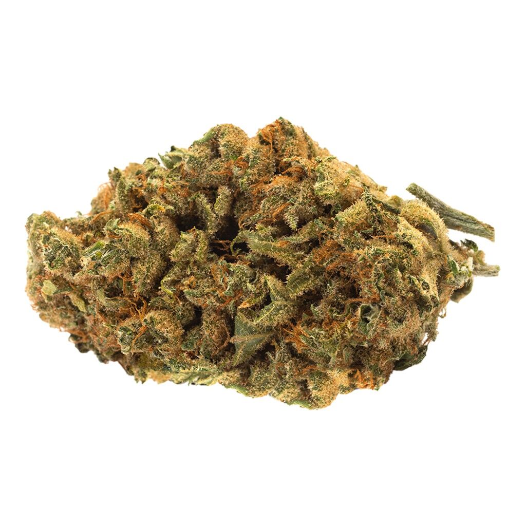 Twd Indica 5