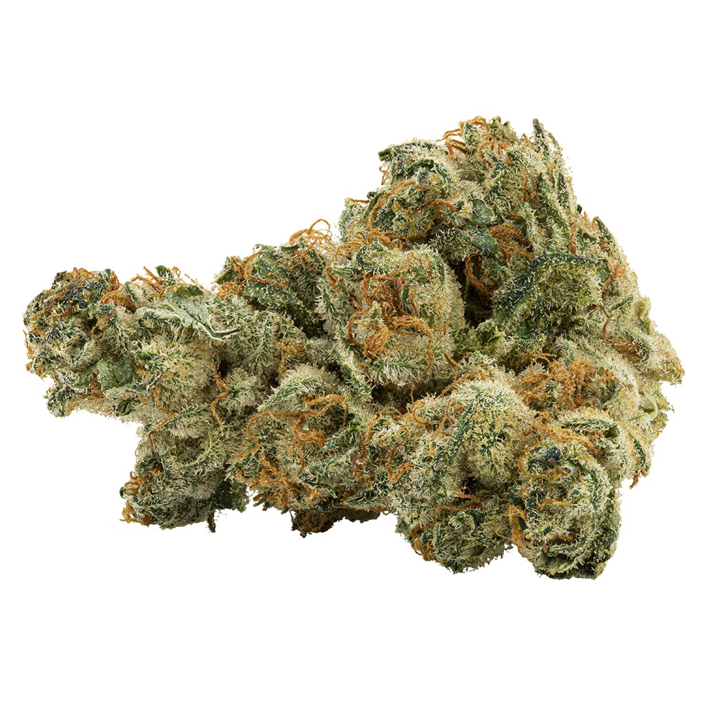 Vanilla Gelato 2