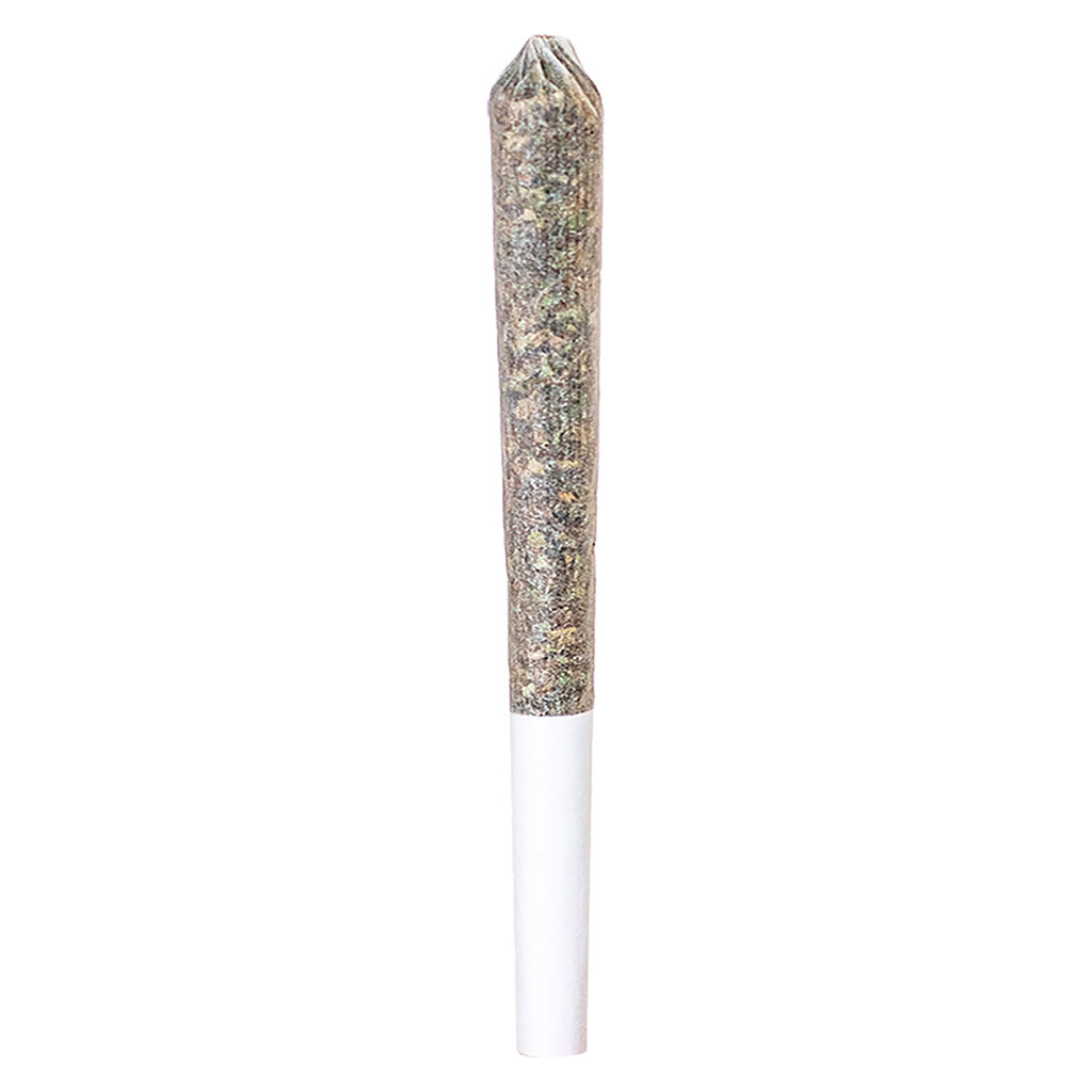 Gg4 Single Pre-Roll